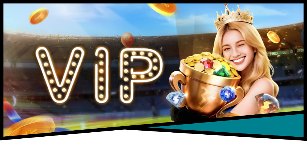 VIP 처럼 즐기는 2026 월드컵